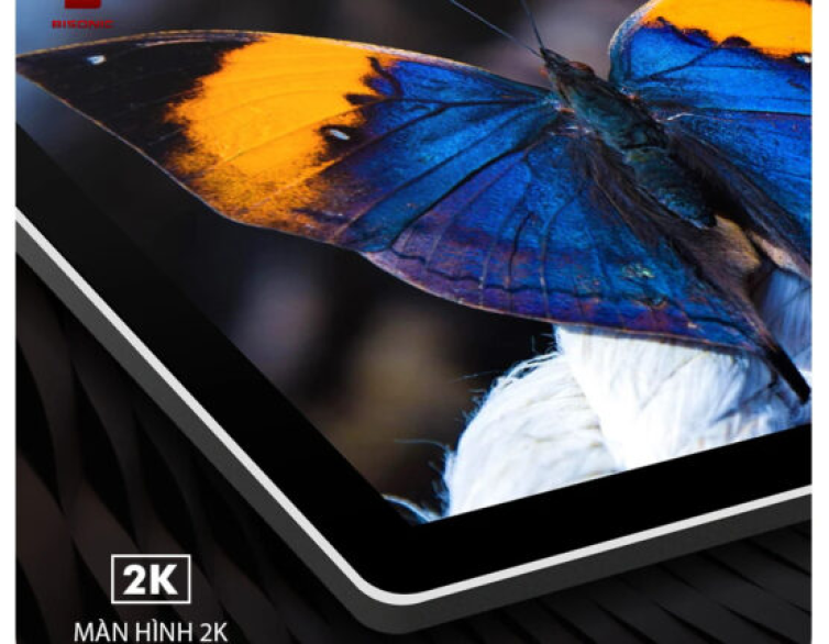 Màn hình 2K Ultraview 9.5inch