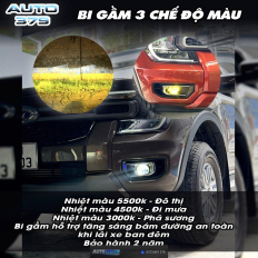 Bi Gầm 3 Chế Độ Màu